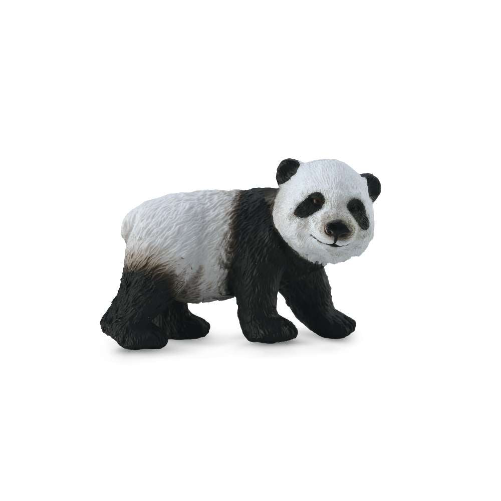 Giant Panda Cub Standing