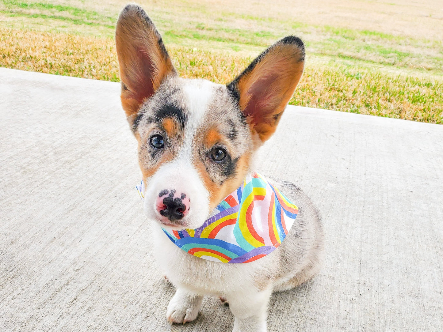 "Classic Bandana" Dog Bandana