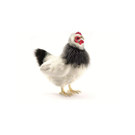 French White Hen Stuffed Animal