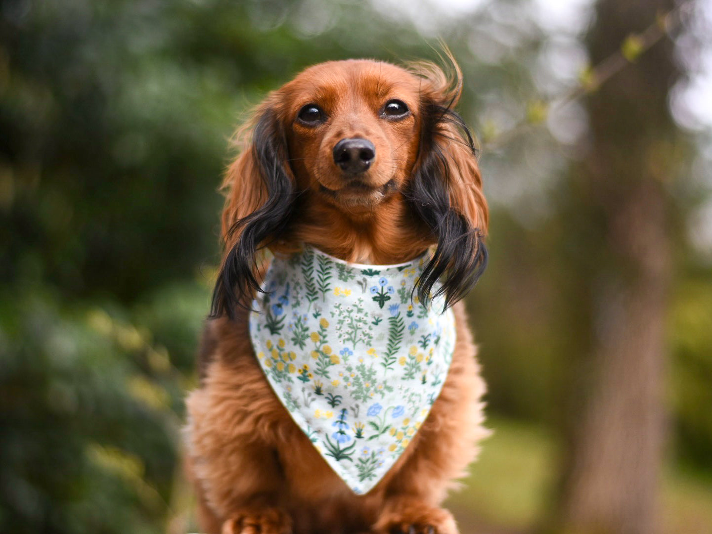 "I Love Mom" Dog Bandana