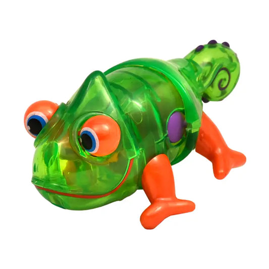 Gecko - Neil