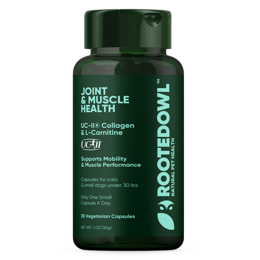 Animal And Plant Sciences Joint + Muscle Health for Cats & Small Dogs Capsules with UC-II Collagen - 30 CT 12 Pack