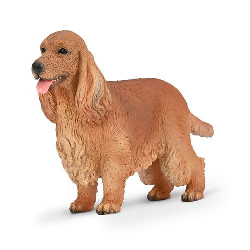 Cocker