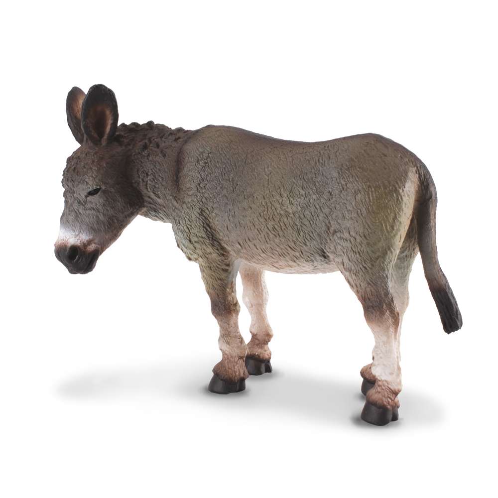 Donkey Grey