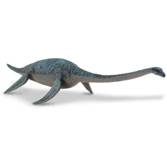 Hydrotherosaurus Blue