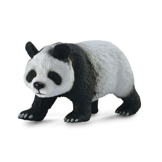 Giant Panda