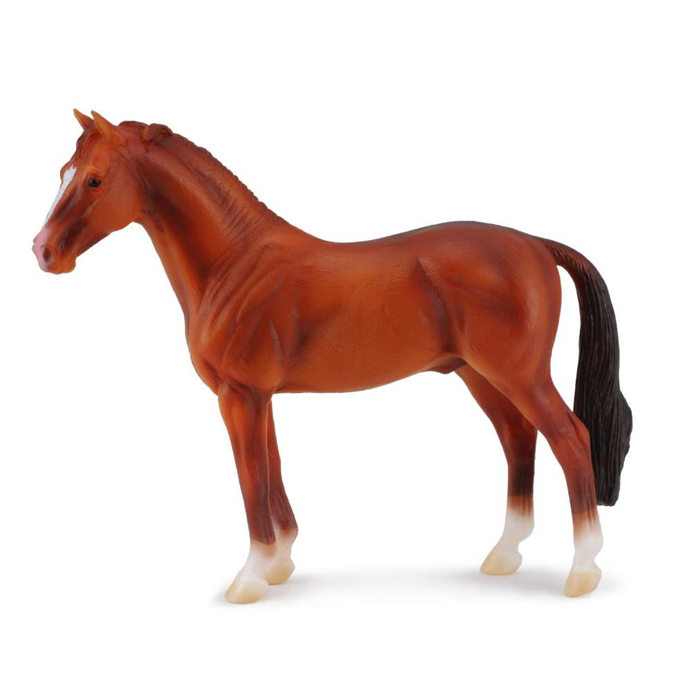 Hanoverian Chestnut