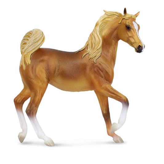 Arabian Mare Golden Chestnut