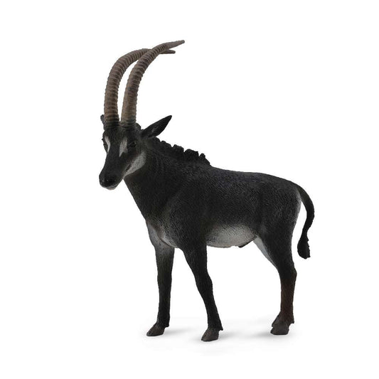 Giant Sable Antelope Male