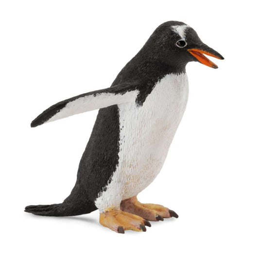 Gentoo Penguin