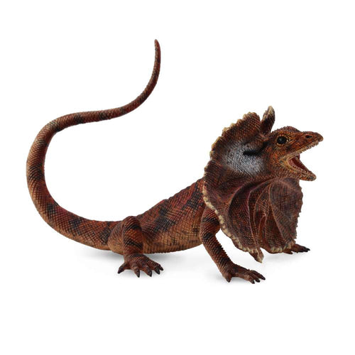 Frill Necked Lizard