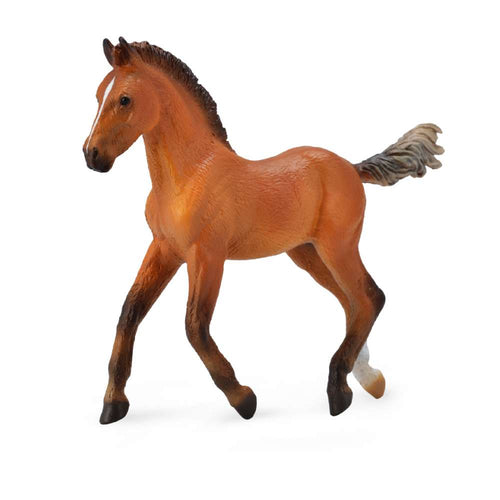 Hanoverian Foal Bay