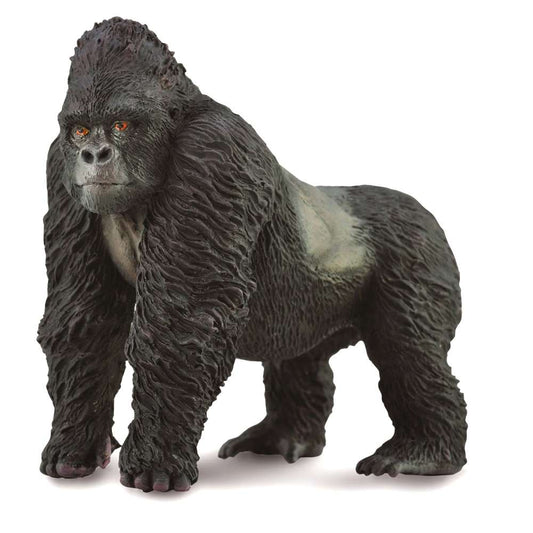 Mountain Gorilla
