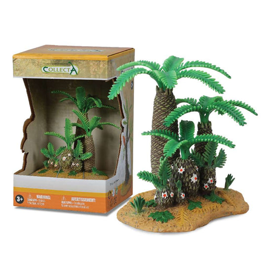 Monathesia Und Cycadeoidea