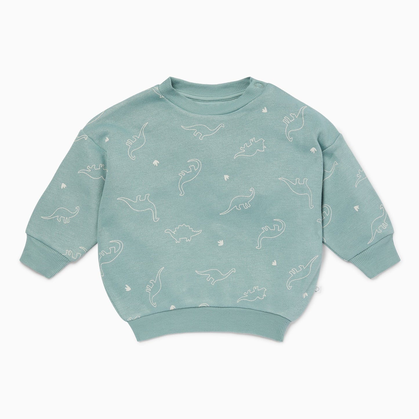 Dino Print Sweatshirt