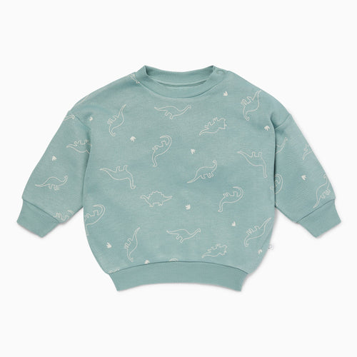 Dino Print Sweatshirt