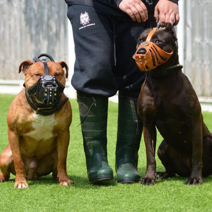 ''Maximus'' Silver Basket Muzzle