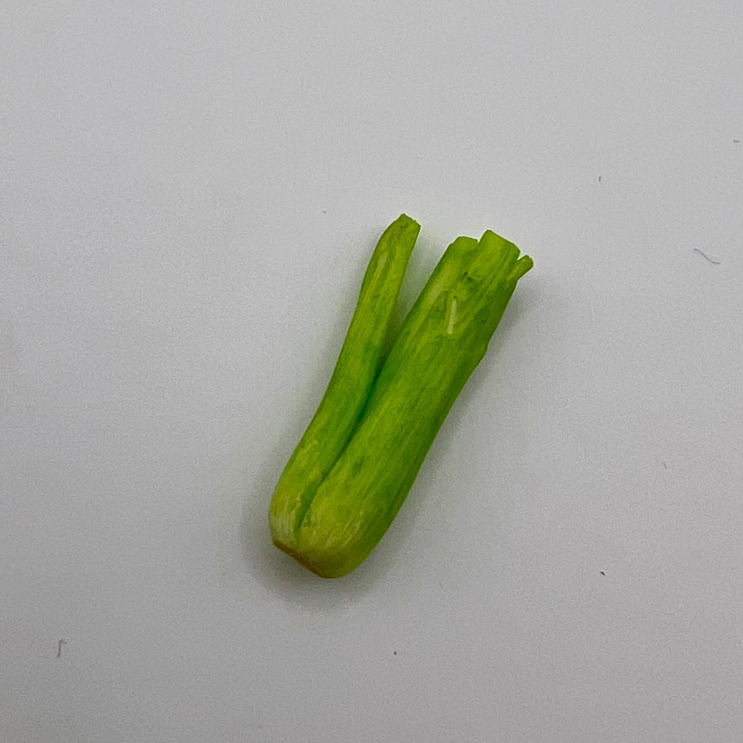Celery- Air-Dry Clay - 1/12 Scale Dollhouse Miniature
