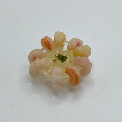 Shrimp Ring - 1/12 Scale Dollhouse Miniature