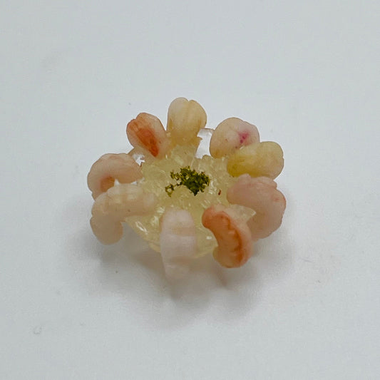 Shrimp Ring - 1/12 Scale Dollhouse Miniature