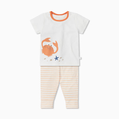 Crab T-Shirt & Leggings Outfit