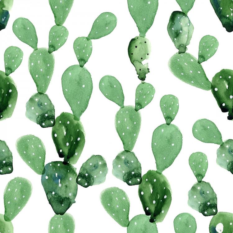 Desert Cactus Wallpaper