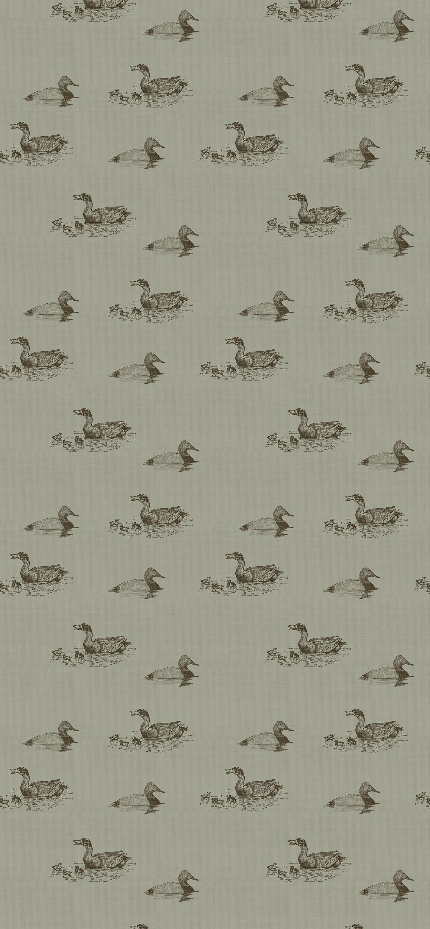 Duckpond Wallpaper