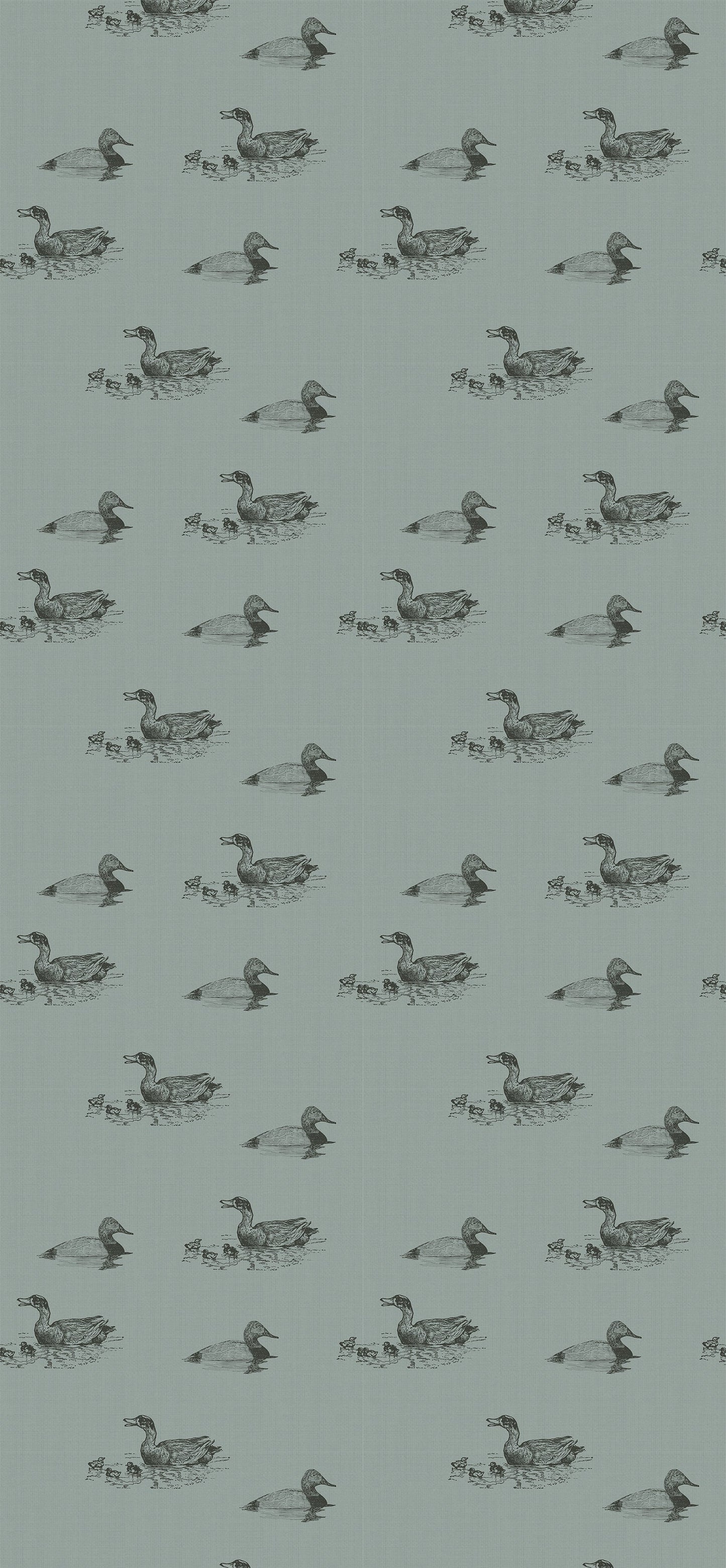 Duckpond Wallpaper