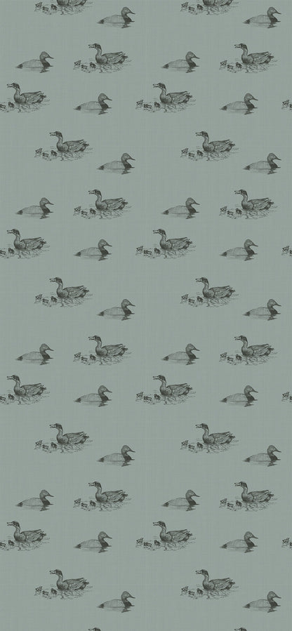 Duckpond Wallpaper