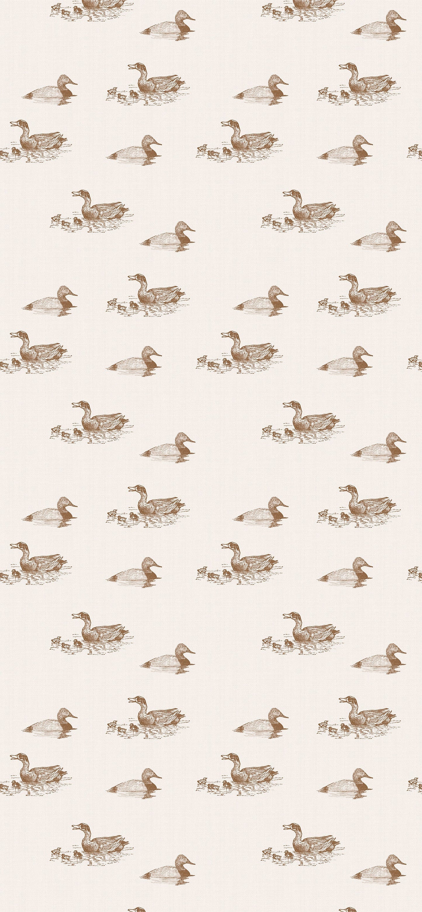 Duckpond Wallpaper