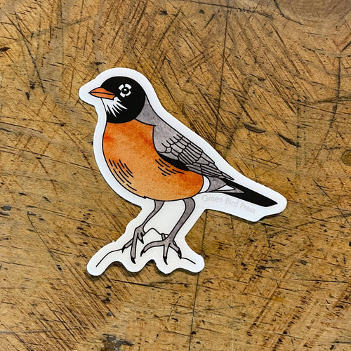 American Robin Sticker