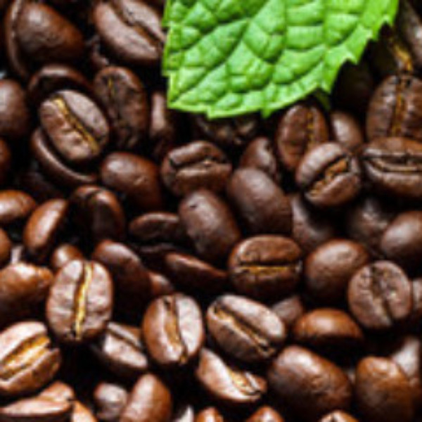 Banana Mocha Jive Coffee - 1 lb (16 oz)