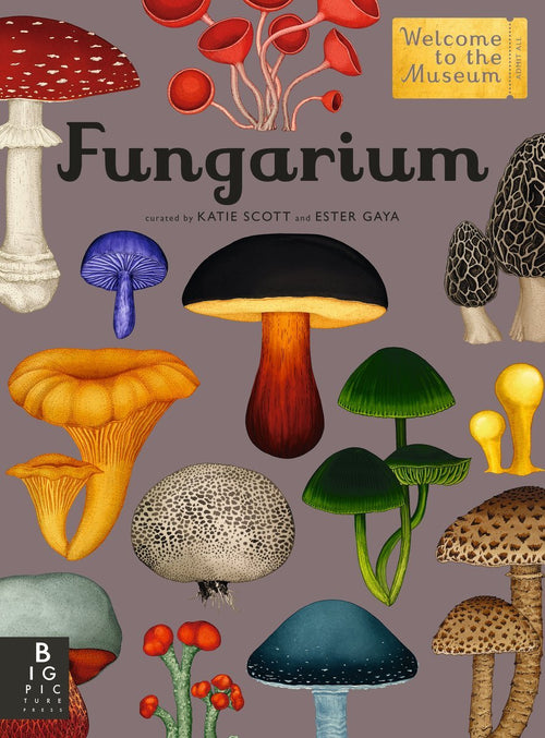 Fungi: Illustrated Guide to the World of Mushrooms by Illustrator Katie Scott