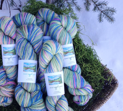 Cordova Fiber & Friends Colorway