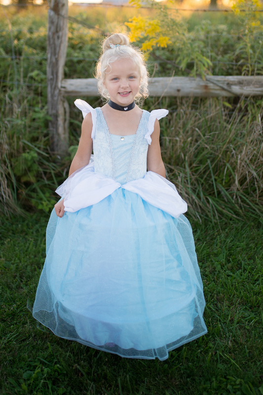 Deluxe Cinderella Gown - Select Size