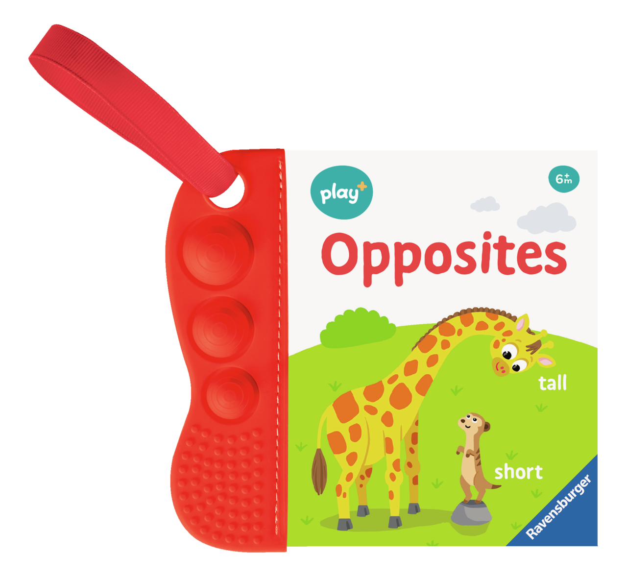 Flip & Pop Opposites